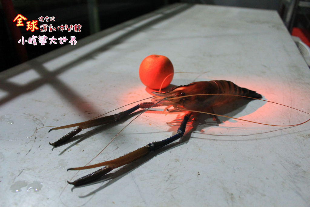釣蝦 027