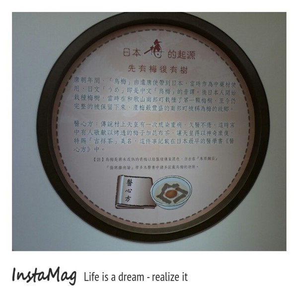 梅問屋-梅子元氣館：3D立體互動曬梅體驗~梅問屋梅子元氣館