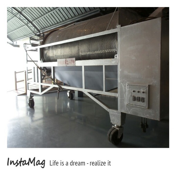 梅問屋-梅子元氣館：3D立體互動曬梅體驗~梅問屋梅子元氣館