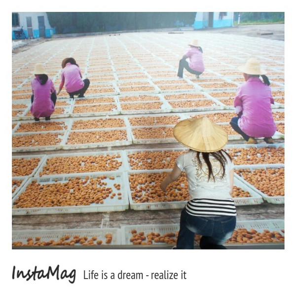 梅問屋-梅子元氣館：3D立體互動曬梅體驗~梅問屋梅子元氣館