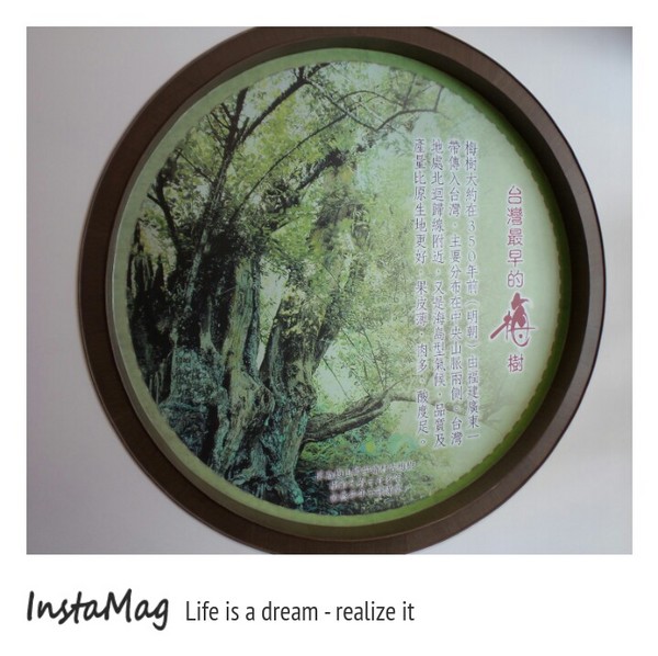 梅問屋-梅子元氣館：3D立體互動曬梅體驗~梅問屋梅子元氣館