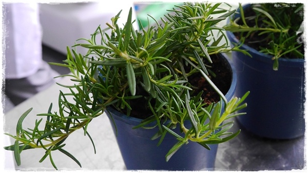 貝肯庄Bake Culture：【台北◍•ᴗ•◍松山】美食・Bake Culture貝肯庄食記✯捷運南京三民站｜Share the moment－與您分享這份精緻饗宴的美好時刻