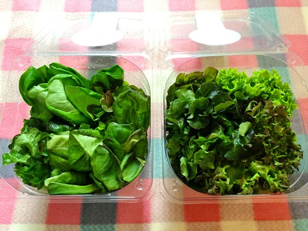 Nice Green美蔬菜廚房(台北大直鍋物店)：Nice Green美蔬菜廚房