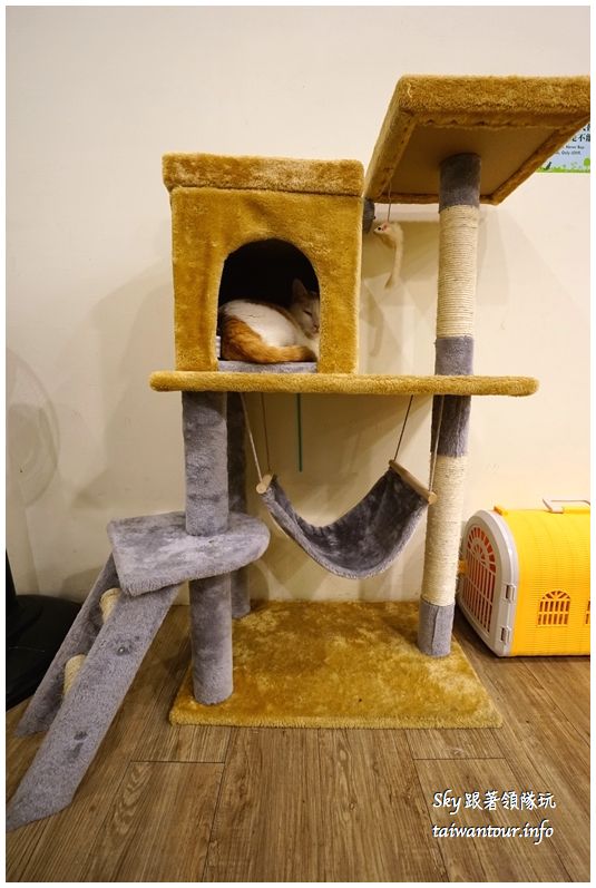 DeMo House:Big起司牛肉堡【Demo house早午餐】