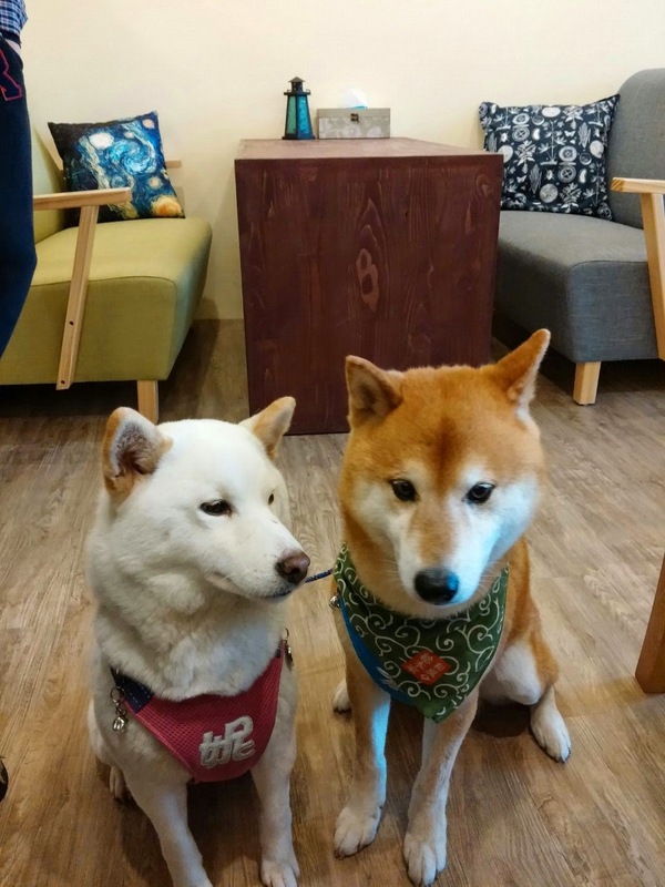 DeMo House：桃園市桃園區 [DeMo House] 走吧!河濱公園散步完後一起享受美味早午餐