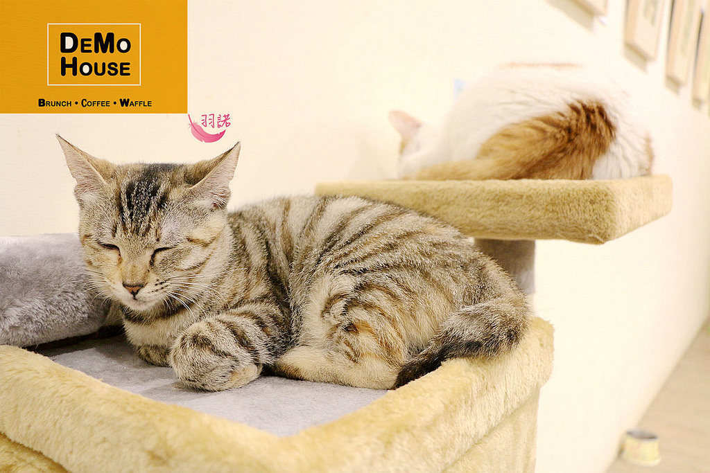 DeMo House桃園早午餐039