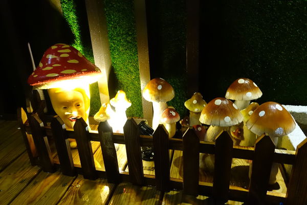 醜比頭的祕密花園:醜比頭的秘密花園輕食咖啡 - 捷運忠孝敦化站