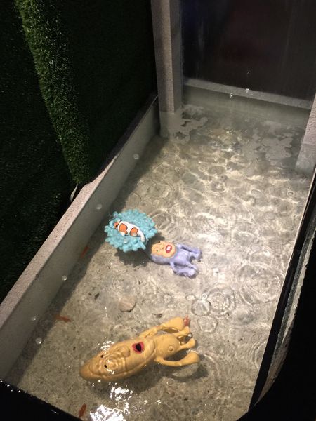 醜比頭的祕密花園:醜比頭的秘密花園輕食咖啡 - 捷運忠孝敦化站