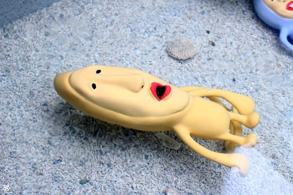 醜比頭的秘密花園輕食咖啡 (7).JPG