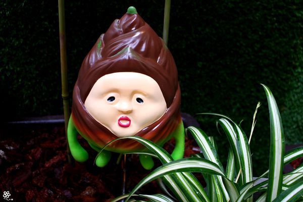 醜比頭的秘密花園輕食咖啡 (9).JPG