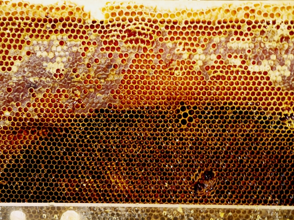 台北凱撒大飯店Checkers自助式餐廳：【食記：台北車站】凱撒飯店CHECKERS ♞ 牛排海鮮甜點吃到飽   聚餐首選！ (圖多)