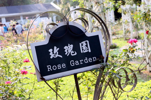 2015玫瑰花展：台北旅遊～士林官邸＊玫瑰花展（展期：2015/04/01~12）