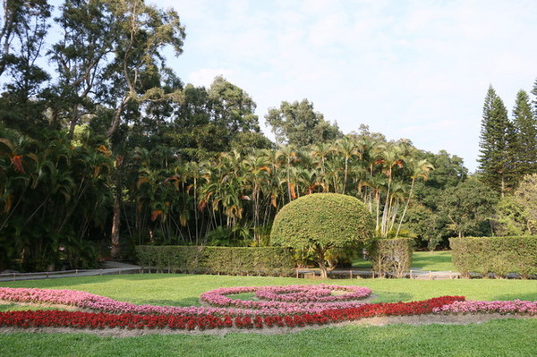 2015玫瑰花展：台北旅遊～士林官邸＊玫瑰花展（展期：2015/04/01~12）