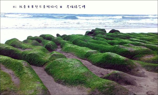 11082172_804859992929279_6192108779179244133_o