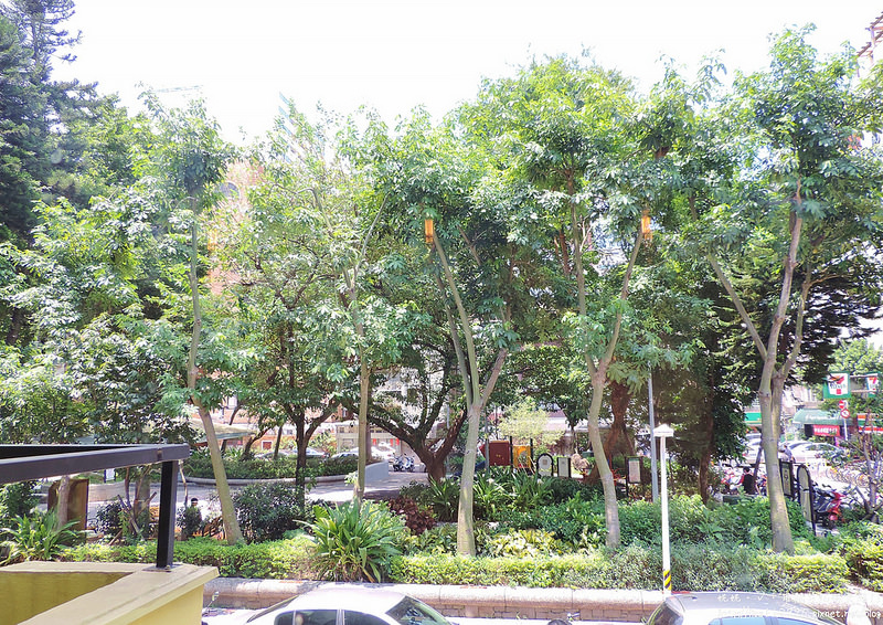 DSCN3191 (2000x1415)