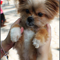 前往 Nancy將 的 styleMe 個人頁