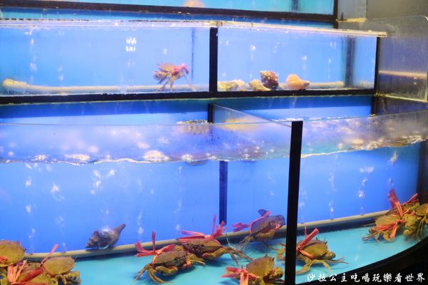 漁聞樂：台北松山價格平實無菜單日式料理『漁聞樂』秋蟹/捷運忠孝敦化站/小巨蛋