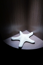 漁聞樂：台北日式料理．漁船直送的生鮮無菜單料理──漁聞樂壽司