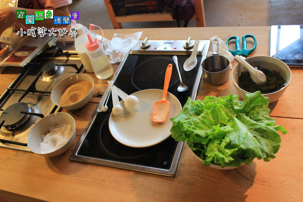 2015綠色博覽愷054