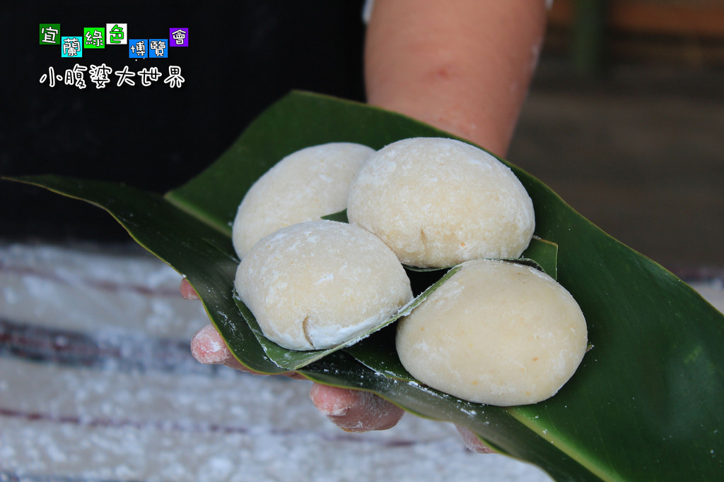 2015綠色博覽愷077