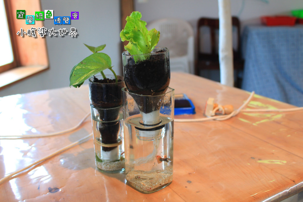 2015綠色博覽愷050