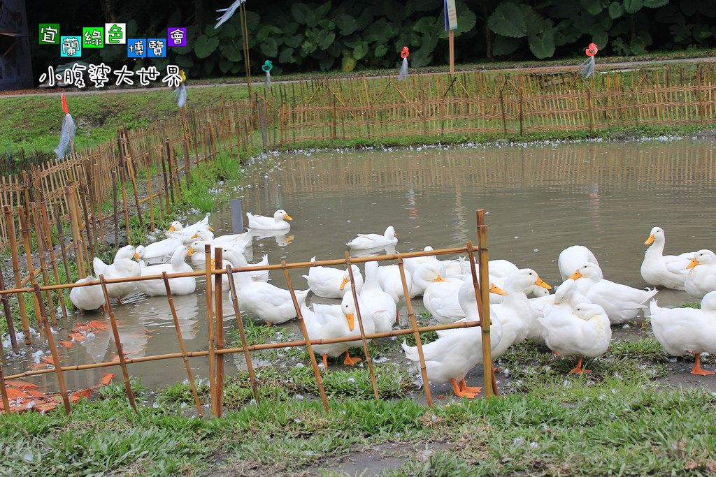 2015綠色博覽愷059