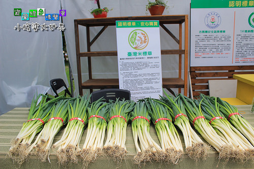 2015綠色博覽愷091