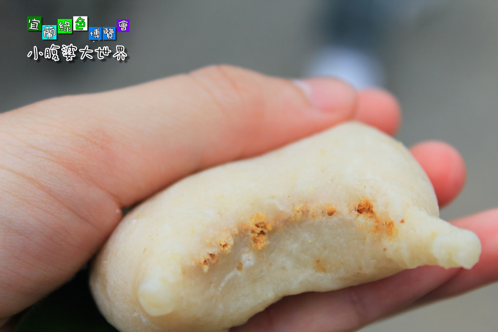 2015綠色博覽愷078