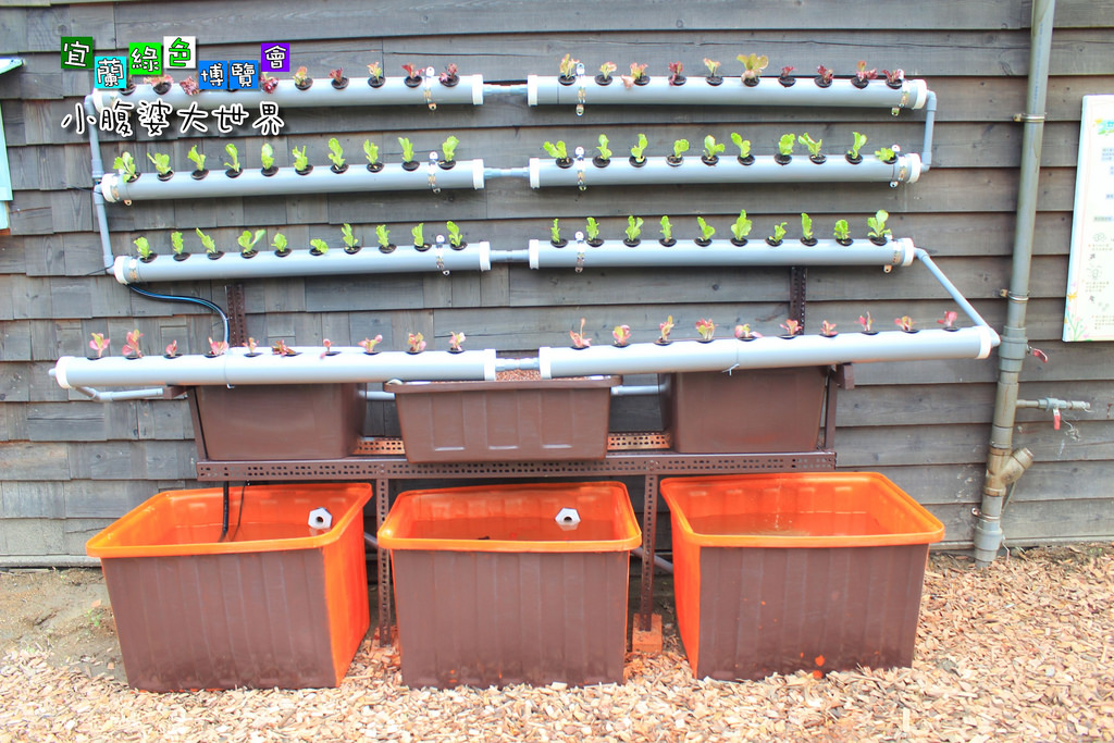 2015綠色博覽愷048