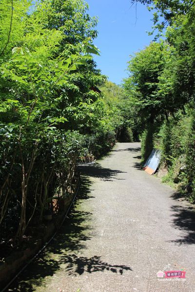 漫步雲端 blog_06.jpg