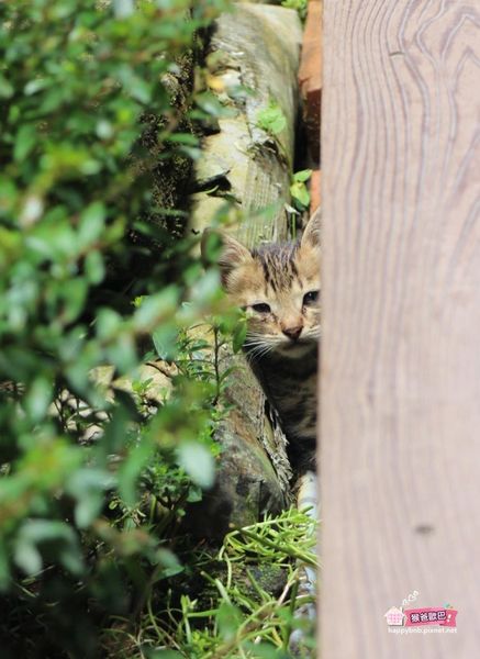 漫步雲端 blog_69.jpg