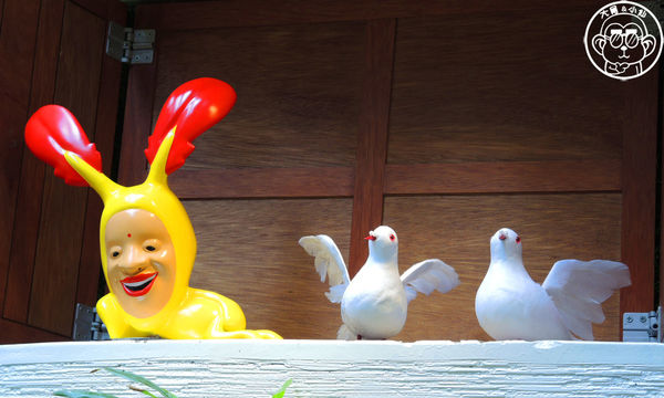 醜比頭的祕密花園：呷飽祙【台北大安･醜比頭的祕密花園】首間醜比頭主題餐廳盛大營運