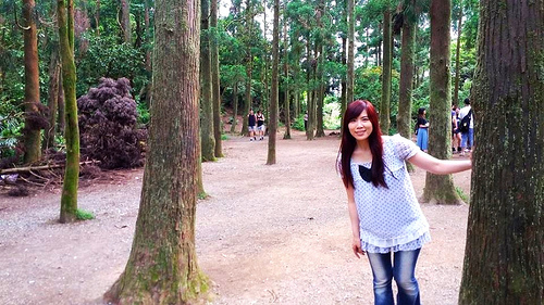 陽明山竹子湖黑森林：【台北景點】婚紗秘境~陽明山竹子湖黑森林