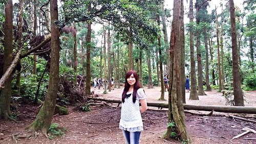 陽明山竹子湖黑森林：【台北景點】婚紗秘境~陽明山竹子湖黑森林