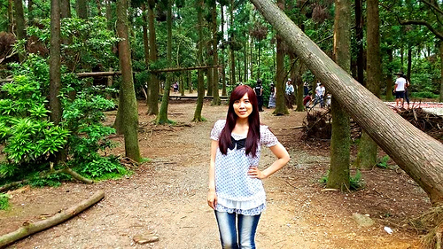 陽明山竹子湖黑森林:【台北景點】婚紗秘境~陽明山竹子湖黑森林