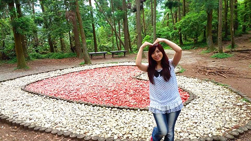 陽明山竹子湖黑森林:【台北景點】婚紗秘境~陽明山竹子湖黑森林