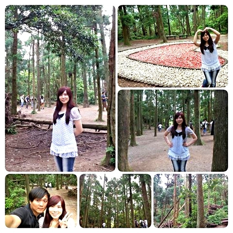 陽明山竹子湖黑森林：【台北景點】婚紗秘境~陽明山竹子湖黑森林