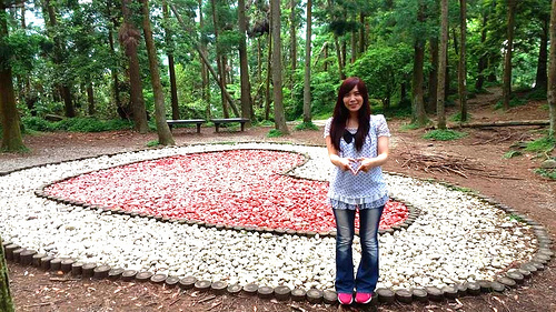 陽明山竹子湖黑森林：【台北景點】婚紗秘境~陽明山竹子湖黑森林