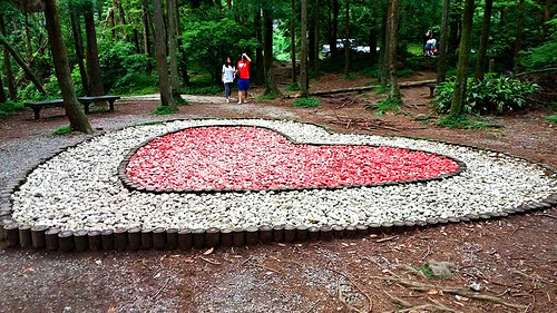 陽明山竹子湖黑森林:【台北景點】婚紗秘境~陽明山竹子湖黑森林