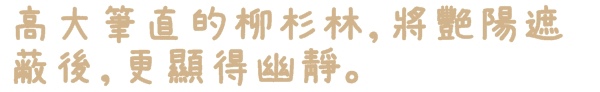 陽明山竹子湖黑森林:【台北◍•ᴗ•◍陽明山】景點・竹子湖黑森林祕境✯婚紗拍攝景點|連「奇皇后」河智苑也造訪的浪漫美景