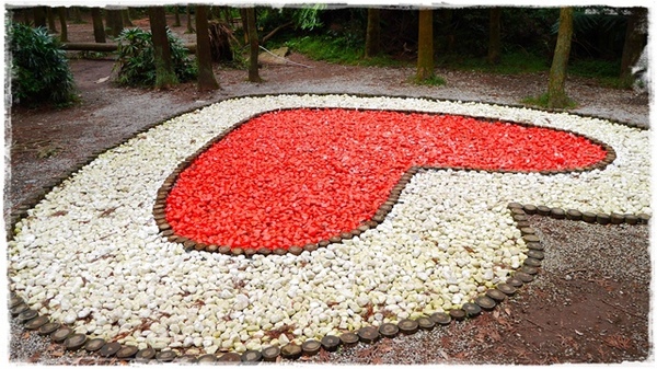 陽明山竹子湖黑森林:【台北◍•ᴗ•◍陽明山】景點・竹子湖黑森林祕境✯婚紗拍攝景點|連「奇皇后」河智苑也造訪的浪漫美景