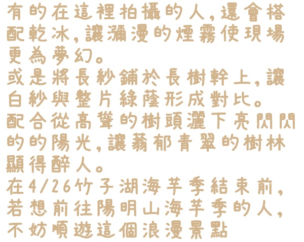 陽明山竹子湖黑森林:【台北◍•ᴗ•◍陽明山】景點・竹子湖黑森林祕境✯婚紗拍攝景點|連「奇皇后」河智苑也造訪的浪漫美景