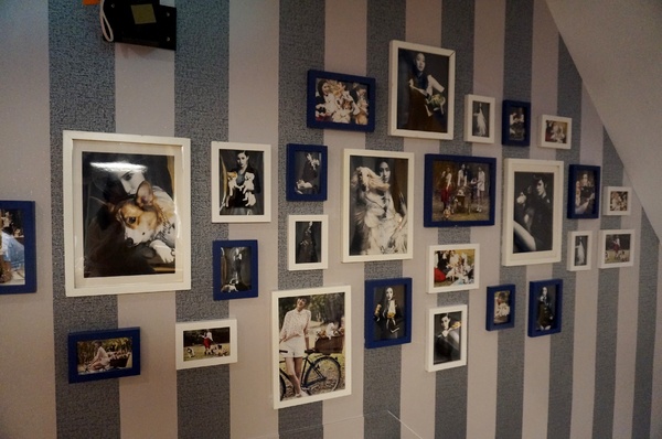 跑飯店the Paw Hotel  ( tutti cafe新生店)：【忠孝新生美式餐廳】跑飯店 Paw Hotel 毛小孩的遊樂園