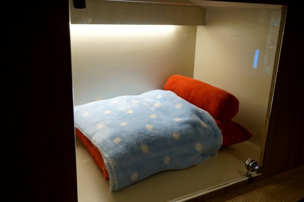 跑飯店the Paw Hotel  ( tutti cafe新生店)：【忠孝新生美式餐廳】跑飯店 Paw Hotel 毛小孩的遊樂園