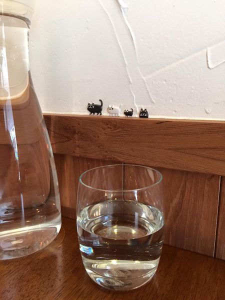 11899850_10155946390120273_9213834200122154746_n