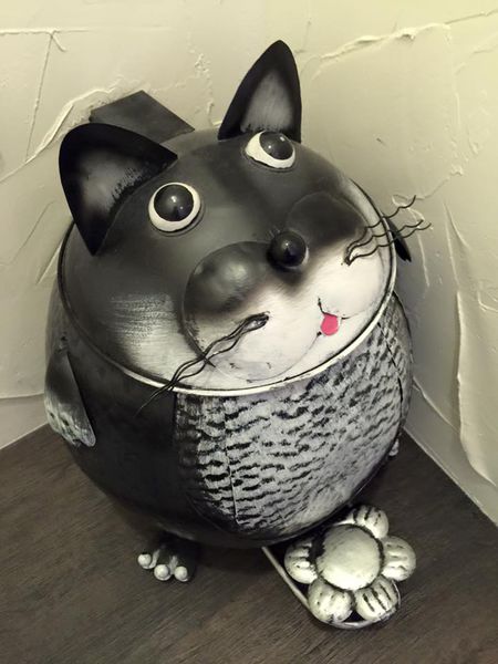 11855914_10155946389950273_5992932893558156244_n