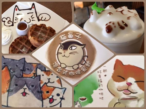 11904720_10155946646670273_8031532241373696159_n