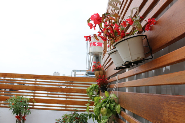 中華典藏商旅:台東縣●市區-中華典藏商旅~精緻溫馨的住宿新地點❤❤❤