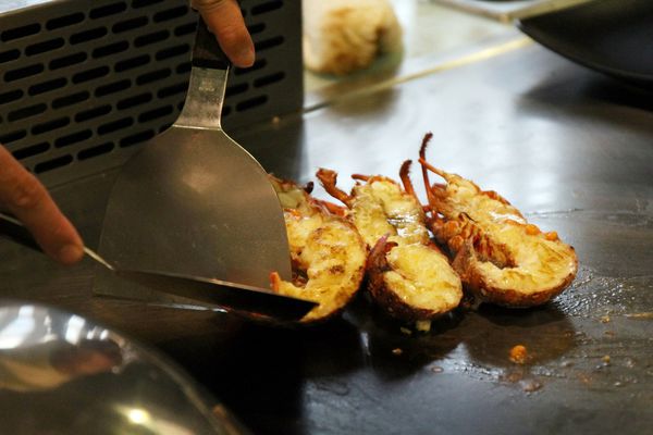 江雁塘鐵板燒、捷運周邊美食、捷運中山國中站、江塘雁、鐵板燒