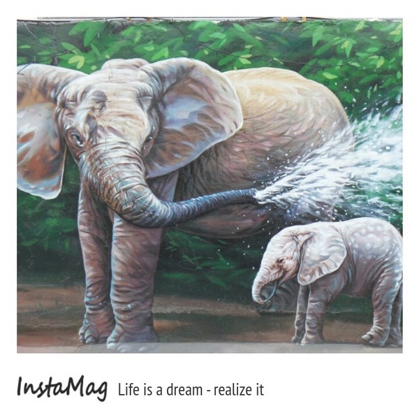 仁武後安動物彩繪村：【高雄景點】後安動物園~栩栩如生的彩繪巷